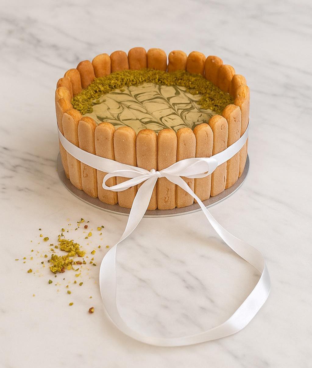 Charlotte Tiramisu Cake